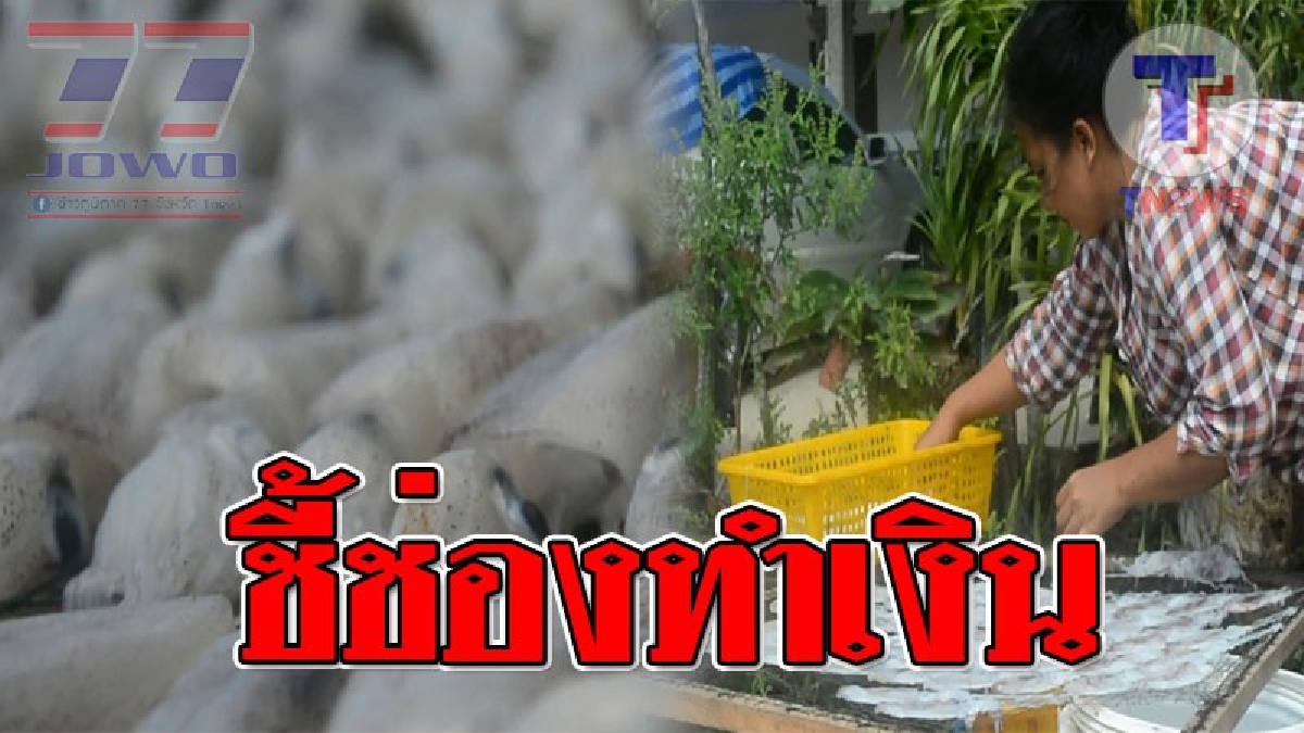 ชี้ช่องพารวย ! สาววัย 35 อดีตพนง.โรงแรม ผันตัวมาแปรรูปหมึกตากแห้ง ช่วยสามีสร้างรายได้ เผยขายดีเป็นที่ต้องการของตลาด