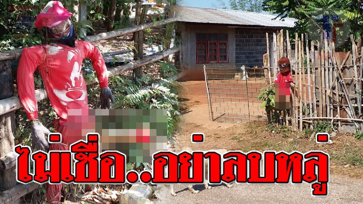 สุดเฮี้ยน..ผีแม่หม้าย!?? ชาวบ้านสุดหวาดกลัว "ผีแม่หม้าย" แห่ห้อยหุ่นฟางพ่วงปลัดขิก หลังมีผู้ชาย 5 คนตายปริศนาไร้ข้อพิสูจน์..!! (ชมคลิป)