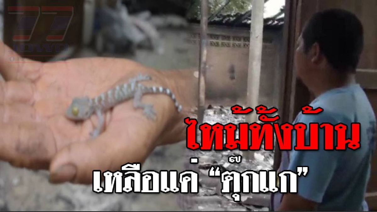 เพียงคืนเดียว..กลายเป็นคนไร้บ้าน ! น้ำตาอาบหน้าเกิดไฟไหม้บ้านวอดทั้งหลัง ไม่เหลืออะไรติดตัวสักชิ้น มีเพียงตุ๊กแก 2 แม่ลูกที่รอดชีวิต..!??