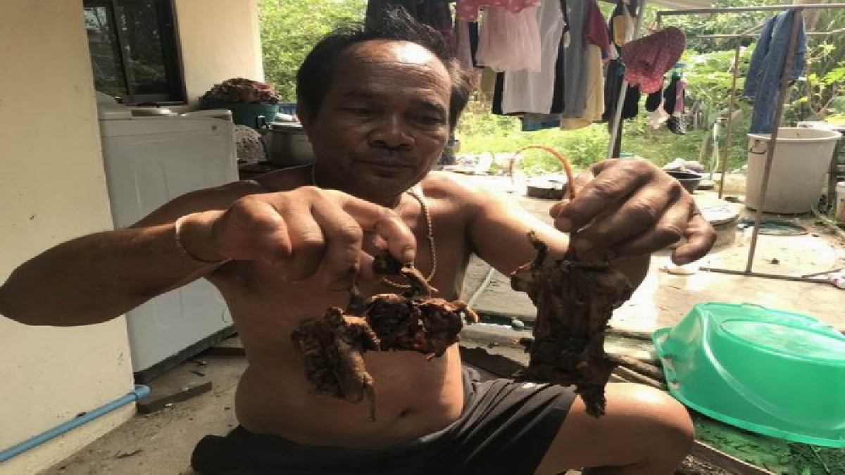 ของโปรดของลูก ! พ่อแชมป์โลก ศรีสะเกษ นครหลวงโปรโมชั่น ย่างหนูและนกเขา นำไปให้เจ้าแหลมที่สนามบินสุวรรณภูมิ