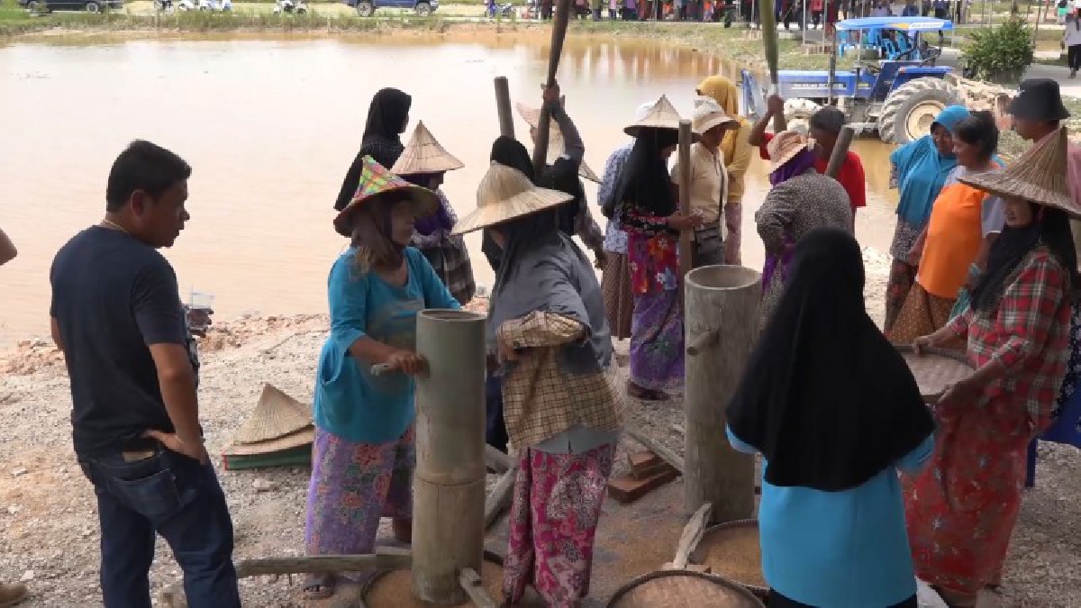 สุดยอด “เทพสามตา”พระเกจิดังสงขลา ทำโครงการพลิกนาร้าง ปลูกข้าวพันธุ์ราชินี ดึงไทยพุทธ มุสลิมร่วมสร้างสามัคคี ตำข้าวครกโบราณ