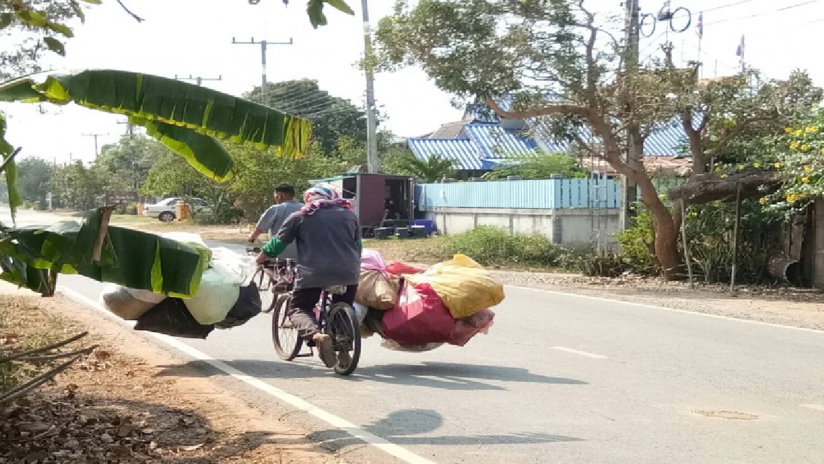 เพราะความจนมันน่ากลัว !! หนุ่มพิมาย ขี่จักรยานตะเวนเก็บของเก่า ต่อไม้ยาวบรรทุกของ ไอเดียดีแต่เสี่ยงไปนิด(มีคลิป)