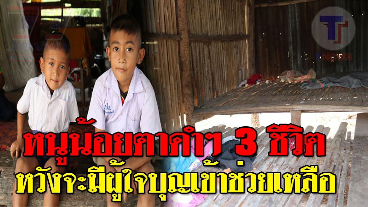 วอนสังคมเปิดใจ!! ช่วยเหลือ "หนูน้อยเมืองช้าง วัย 6 ขวบ" ชีวิตสุดรันทด พ่อ-แม่ ยากจน ซ้ำร้ายครอบครัว 3 คน ต้องมาติดเชื้อ HIV (คลิป)