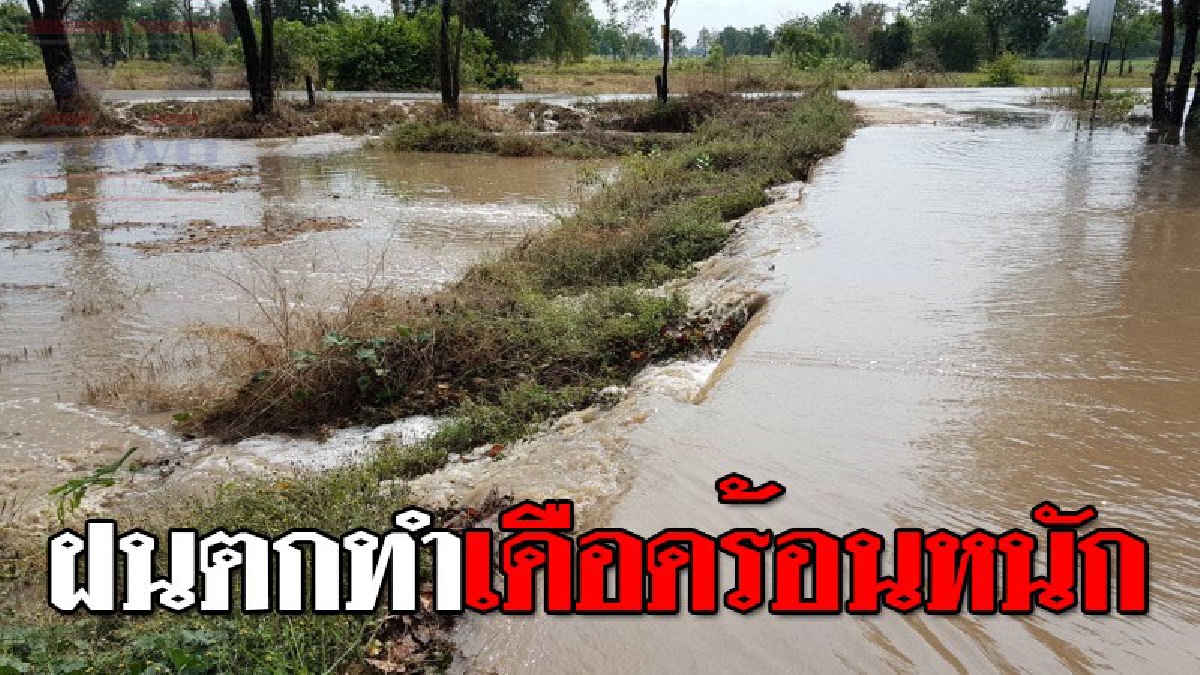 อ่วมหนักตามๆกัน ! ชัยนาทฝนตกหนักท่วมอย่างต่อเนื่อง ทำบ้านเรือน ไร่นา เสียหายกว่า 500 ไร่..!??