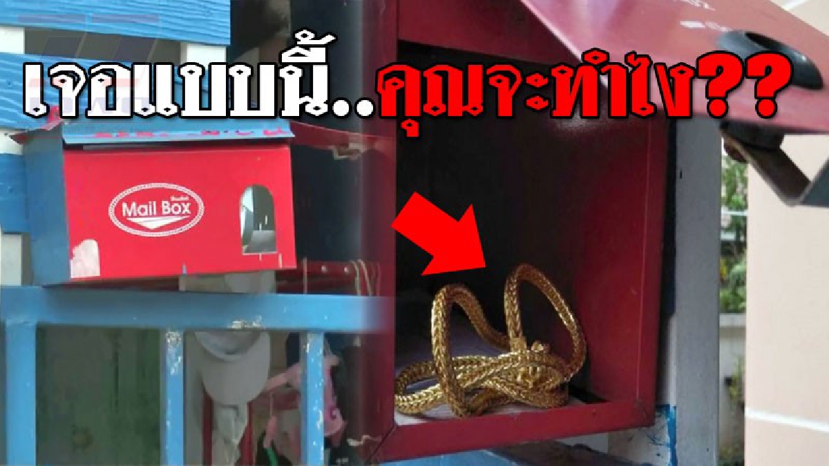 ใครเอามาใส่ไว้!?? สาวโรงงานสุดตะลึง เปิดตู้จดหมายพบ "สร้อยทองคำเส้นใหญ่" อยู่ในนั้น ทำเอาอึ้งดอกสอง ไม่ได้โดนแค่บ้านเธอหลังเดียว!?? (ชมคลิป)