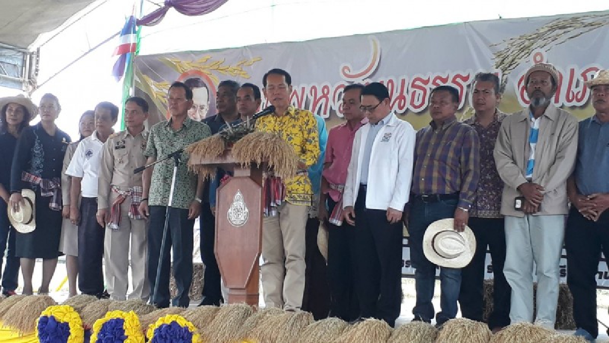 ร.ร.แป-ระเหนือจัดแข่งเก็บข้าวด้วยแกะพร้อมฟื้นฟูขนมโบราณอาชูรอ ข้าวยำซาว (ชมคลิป)