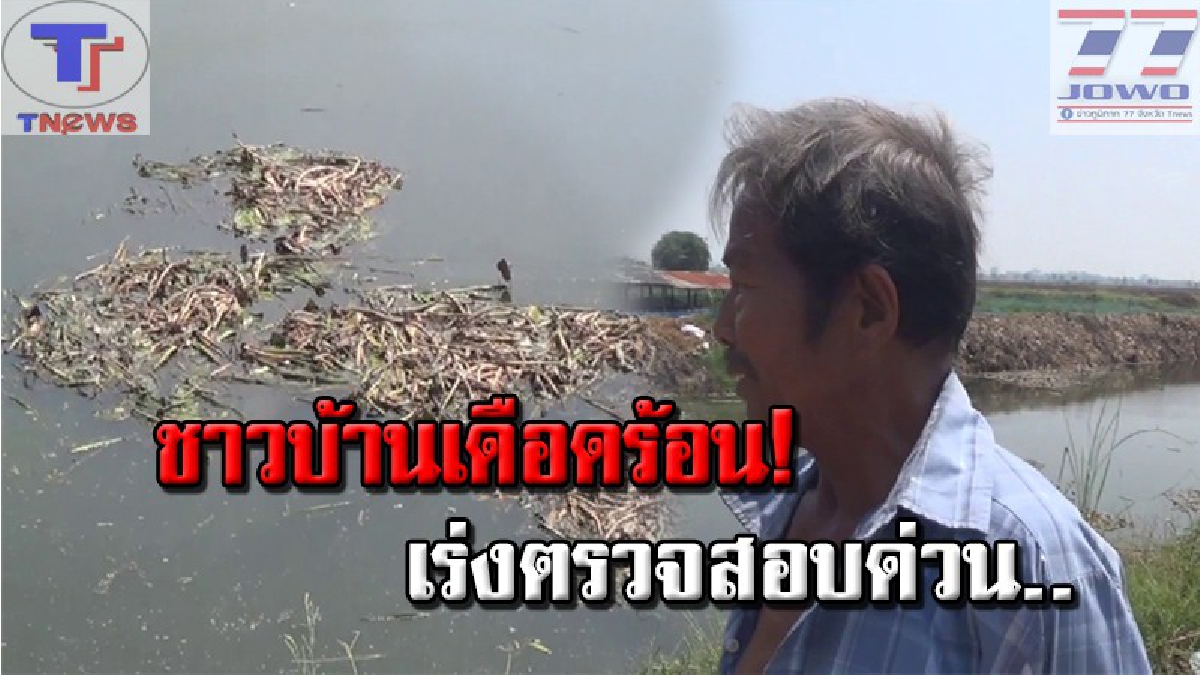 สัตว์น้ำตายหมด..ใครจะรับผิดชอบ!!? ชาวบ้านสุดทน วอนผู้เกี่ยวข้องลงพื้นที่ตรวจสอบ หลังน้ำในคลองชลประทาน ส่งกลิ่นเหม็น ขนาดวัชพืชยังตาย (คลิป)