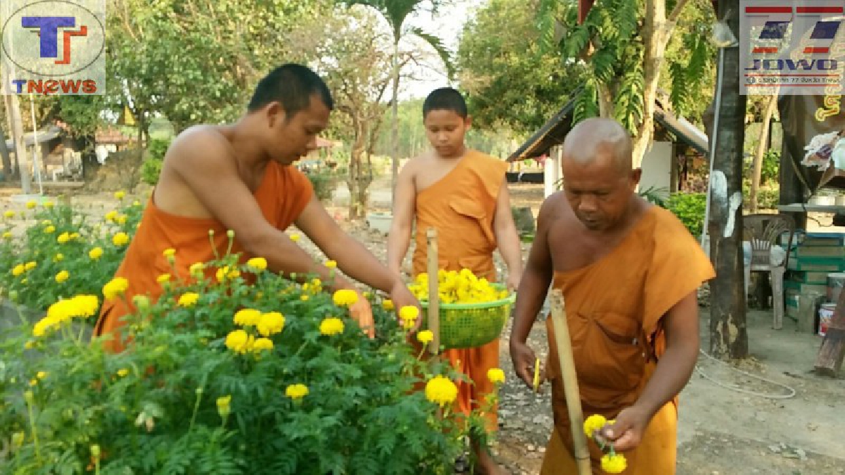 ทึ่ง!! "พระเณร" วัดเกาะสันติธรรม ใช้เวลาว่างปลูกดอกไม้หลากหลายชนิด จำหน่ายหาปัจจัยจ่าย ค่าน้ำ ค่าไฟ แถมมีโปรโมชั่นแจกฟรีแก่ญาติโยม