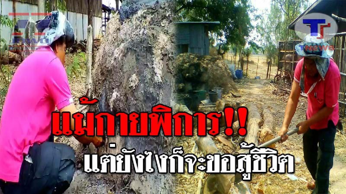 เกิดมาชีวิตต้องสู้..! อดีตทหารพรานขาพิการ รับจ้างตีเหล็ก-เผาถ่าน ขายเลี้ยงลูกอีก 3 ชีวิต และภรรยาที่ป่วยหนัก วอนรัฐยื่นมือช่วยเหลือ!? (คลิป)