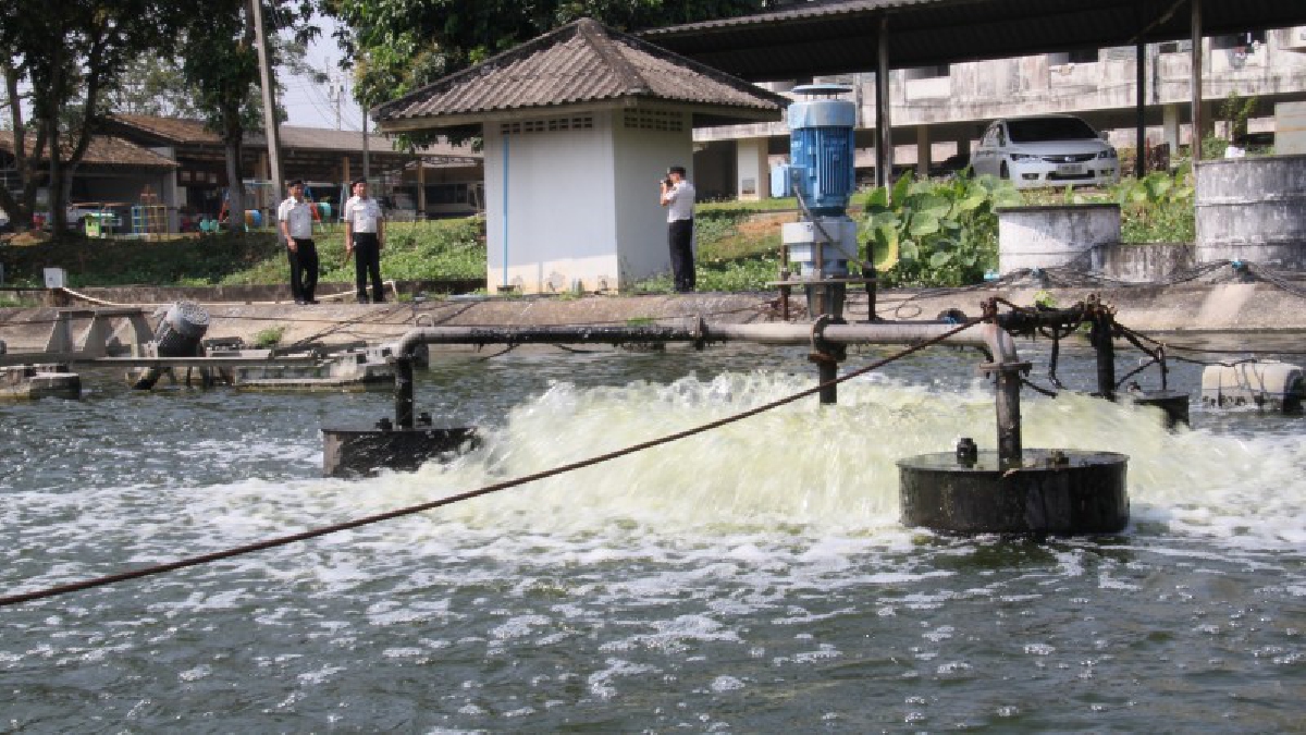 บุกพิสูจน์เรือนจำกลางเชียงรายไร้ปัญหาสิ่งปฏิกูลและน้ำเน่าเชื่อฝีมือกลุ่มเสียผลประโยชน์จ้องทำลาย