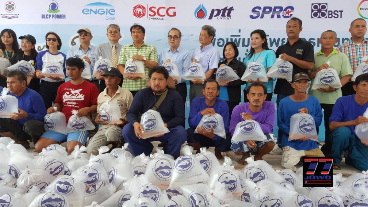 กลุ่มประมง เรือเล็กบ้านพยูนบ้านฉางจ.ระยอง ปล่อยพันธุ์สัตว์น้ำ 1,350,000 ตัวเพิ่มทรัพยากรทางทะเลและชายฝั่งประจำปี 2561 ต่อเนื่องเป็นปีที่ 16