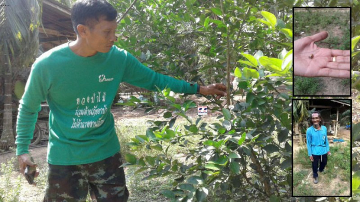 คนร้ายบุกยิงขู่ลุงสอน หลังแฉผ่านสื่อ โดนตร.คนหนึ่งขู่ทำร้าย กรณีร้องกระทรวงยุติธรรม"ตร.เรียกรับเงินไถ่รถจน ผบก.สั่งสอบด่วน" (คลิป)