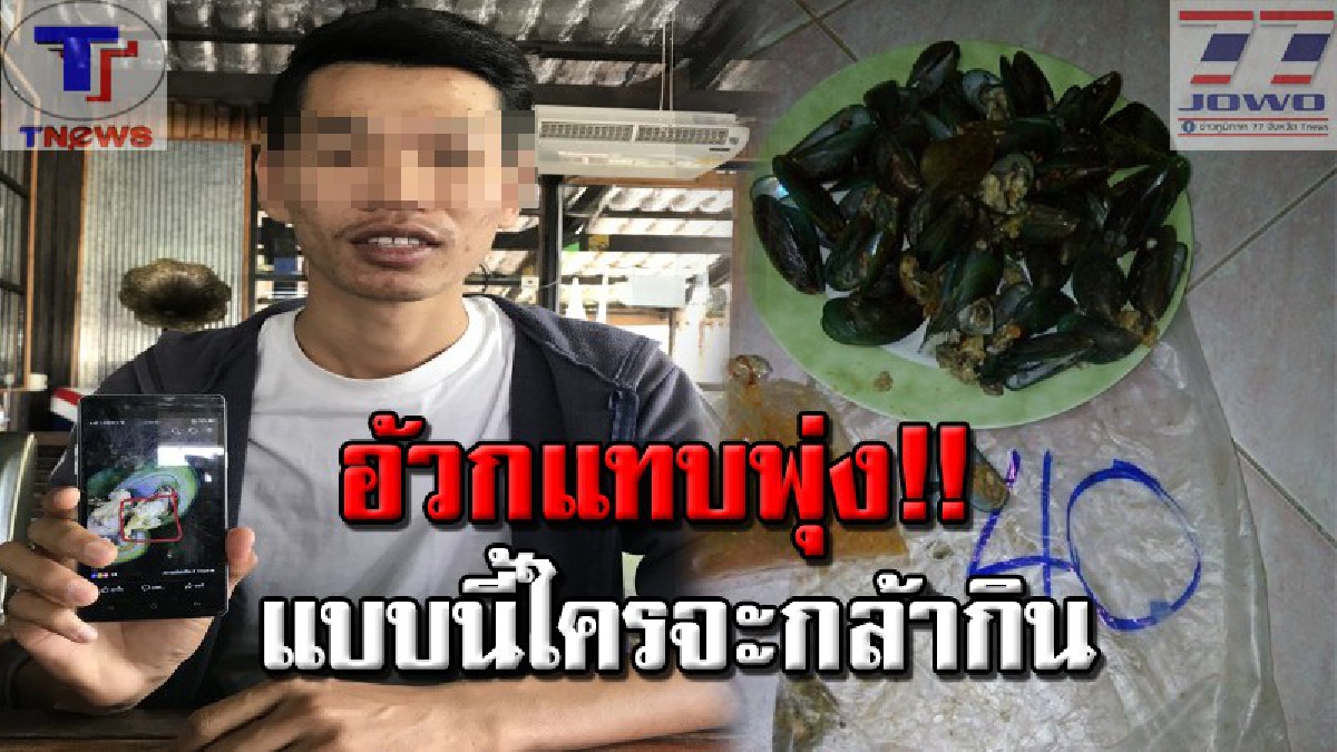 ถึงกับผงะ!! หนุ่มเทคโนโวย ซื้อหอยแมลงภู่ ถุงละ 40 บาท เจอของแถมสุดช็อก! หนอนไตยั่วแย้เต็มไปหมด ไข่แมลงวันอีกอื้อ (คลิป)