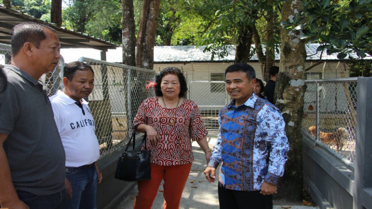 พ่อเมืองภูเก็ตลงพื้นที่บ้านพักพิงสุนัขจรจัดสั่งหน่วยงานที่เกี่ยวข้องปรับภูมิทัศน์ให้สวยงามมีระบบบำบัดน้ำเสียที่ได้มาตรฐาน
