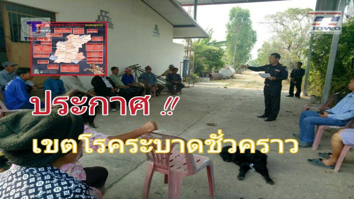 จังหวัดร้อยเอ็ด "ประกาศเขตภัยพิบัติโรคพิษสุนัขบ้า" และเฝ้าระวังโรคระบาดพิษสุนัขบ้าชั่วคราว หลังเกิดการระบาดอย่างหนัก (ชมคลิป)