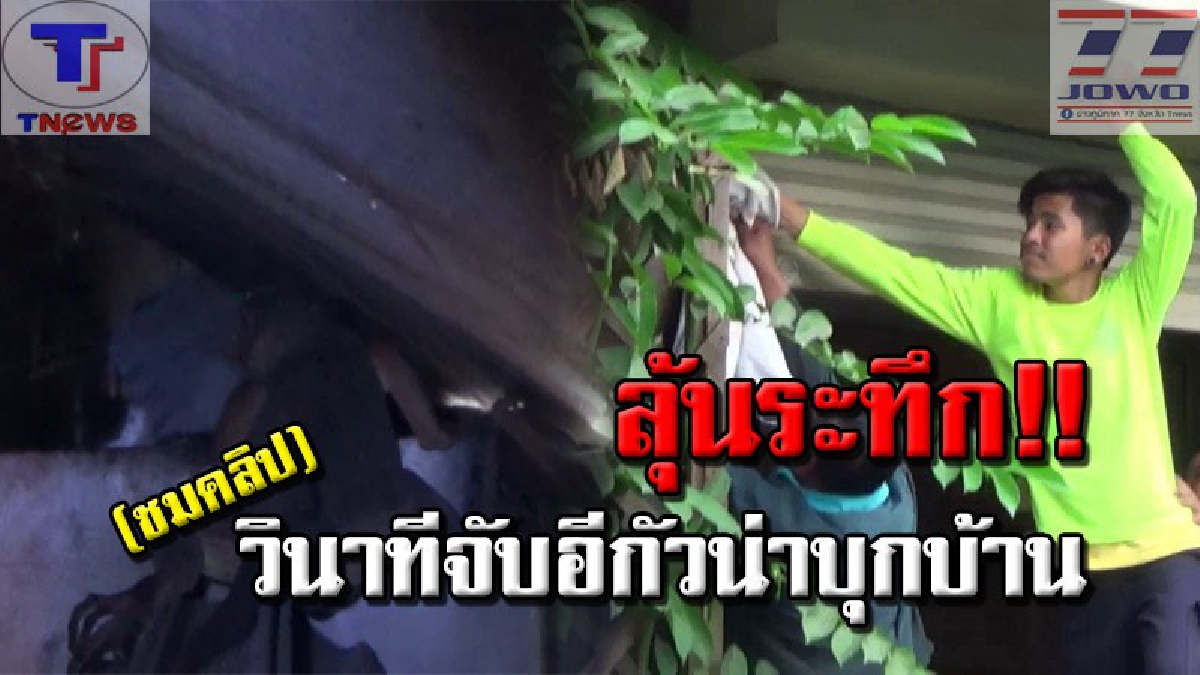 กรี๊ดบ้านแทบแตก !! เจ้าหน้าที่เร่งช่วยจับกิ่งก่าอิกัวนา หลังมุดอยู่ในบานม้วนประตูเหล็ก ชุลมุนหนัก! วิ่งหนีเข้าป่า ไล่จับจ้าละหวั่น (คลิป)