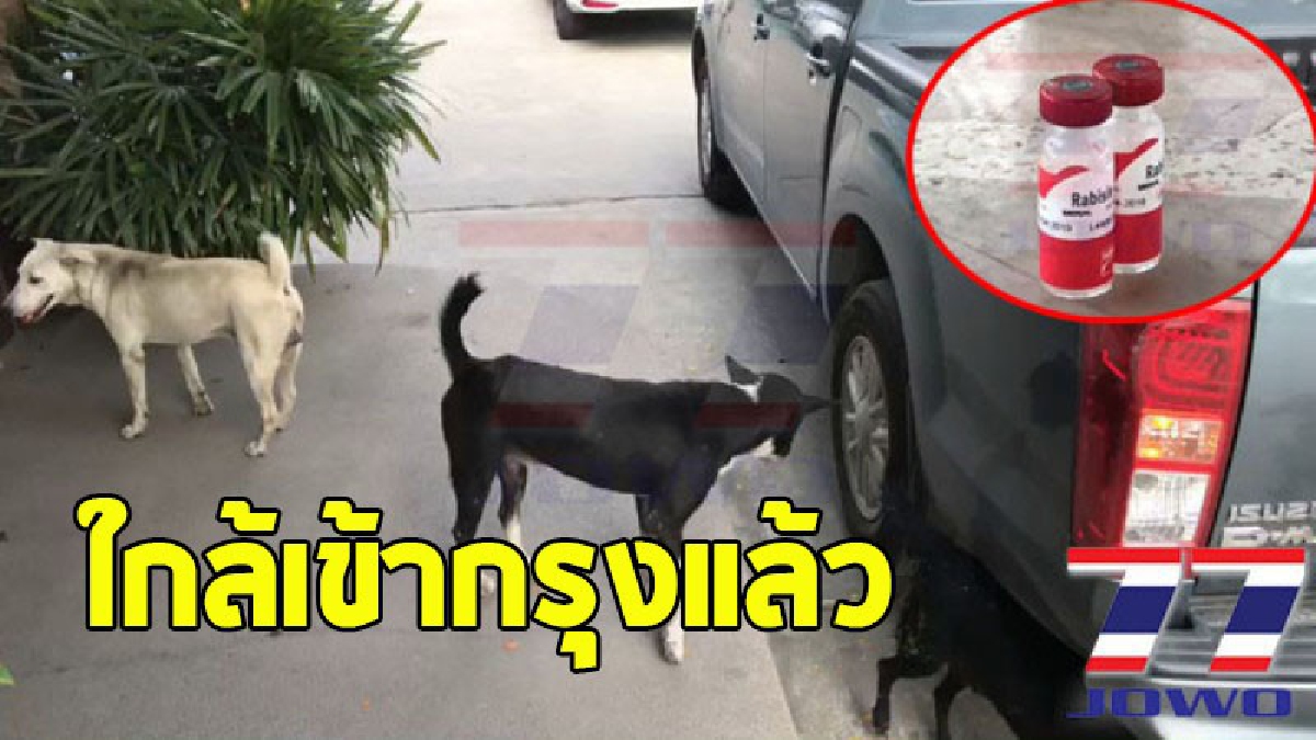 สมุทรปราการวิกฤต "โรคพิษสุนัขบ้าระบาดหนัก" ถูกประกาศเป็นพื้นที่สีแดงแล้ว (รายละเอียด,คลิป)