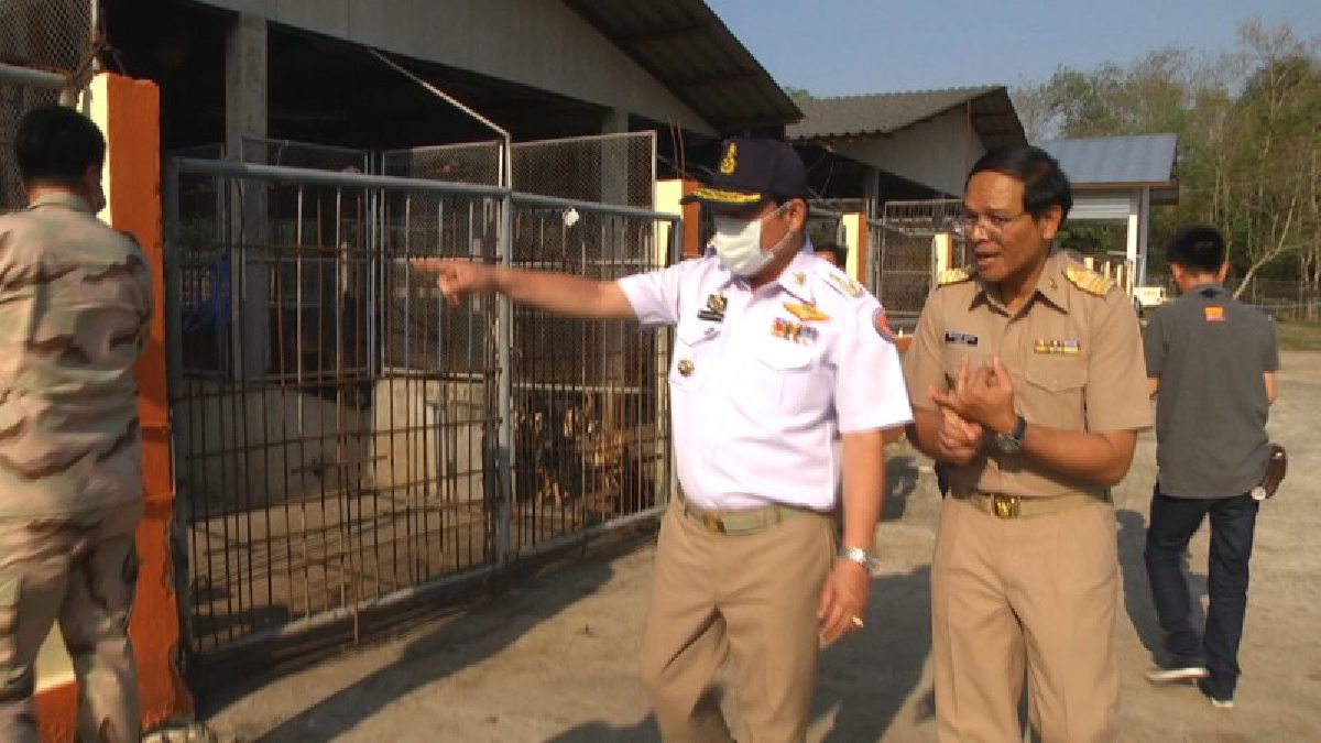 ผวจ.นครพนม กำชับด่านกักกันดูแลน้องหมา ปลอดพิษสุนัขบ้า (คลิป)