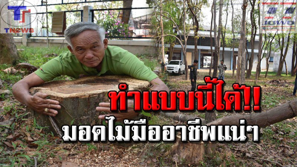 แก๊งตัดไม้พะยูงเหิม!! ลักลอบเข้าตัดไม้ใน รร. ห่าง สน.เพียง 1 กม. ก่อนเชิดหนีลอยนวล 4 ท่อน มูลค่า 4 แสนบา (คลิป)