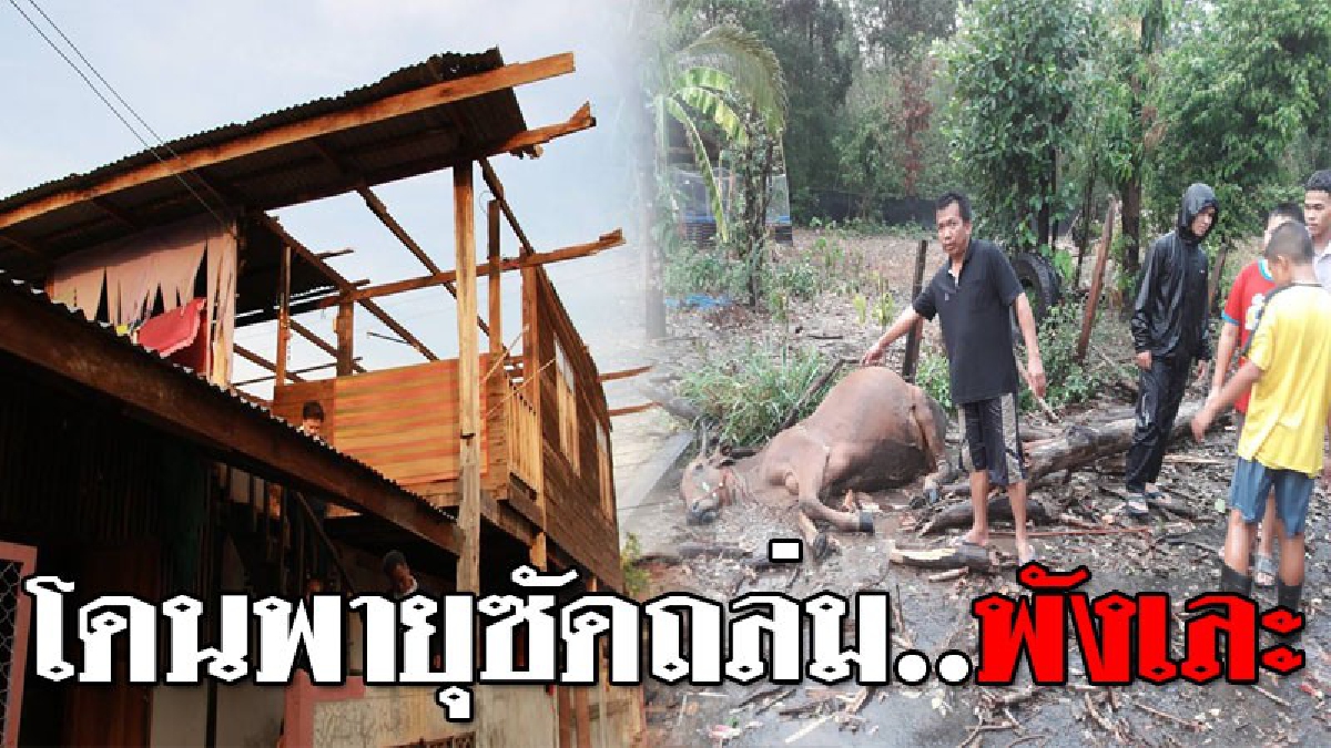 อ่วมหนัก..โดนเต็มๆ ! พายุถล่ม 3 อำเภอ เสียหายกว่า 200 หลังคา เจ้าหน้าที่เร่งสำรวจช่วยเหลือ..!??
