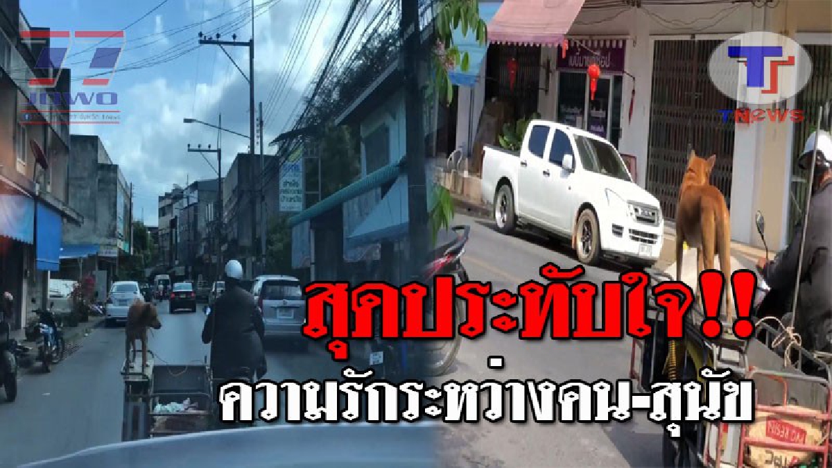 เปิดภาพสุดน่ารัก..!! สุนัขกับเจ้าของ ที่ไปไหนมาไหนด้วยกันตลอด ซึ่งเป็นภาพขณะที่เจ้าตูบ ยืนบนรถสามล้อซิ่ง จนกลายเป็นความประทับใจ!? (ชมคลิป)