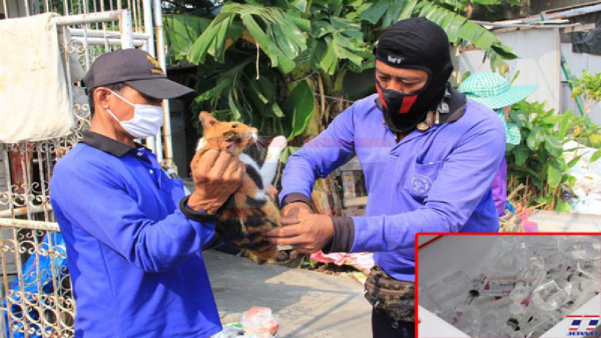 เทศบาลสำโรงเหนือ ระดมเจ้าหน้าที่ออกฉีดวัคซีนโรคพิษสุนัขบ้าสัตว์เลี้ยงในพื้นที่ป้องกันการแพร่ระบาด