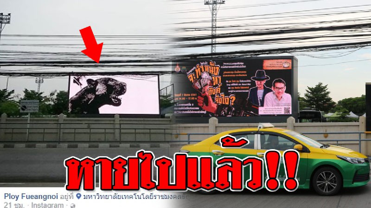 สุดฮือฮา..มันหายไปแล้ว!! มหาวิทยาลัยเทคโนโลยีราชมงคลธัญบุรี เปลี่ยนภาพบนจอ LED เป็นภาพอื่นแทนภาพ "เสือดำ" ..!?? (ชมคลิป)