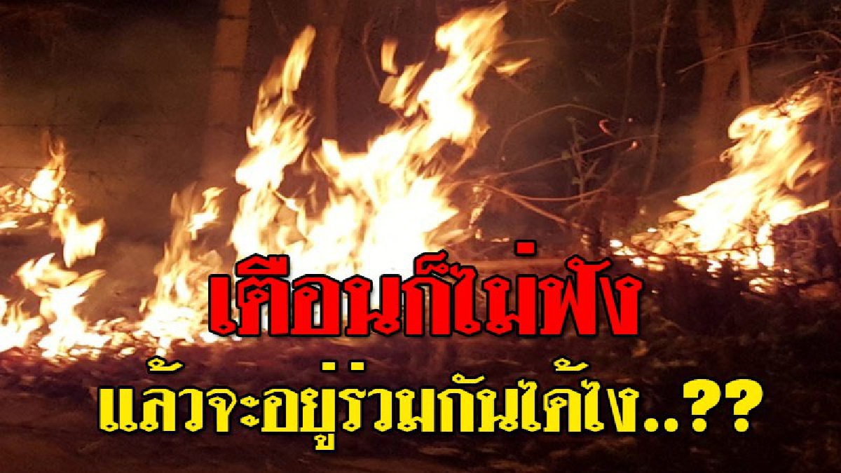 ไม่สนคำสั่ง..ยังมีเผาในเมือง!! เกิดกลุ่มควันจำนวนมาก หลังเพลิงลุกไหม้หญ้าแห้งเป็นแนวยาวเกิดมลพิษควันกระจายถึงแม้ว่าคำสั่งจังหวัดประกาศไปทั่ว