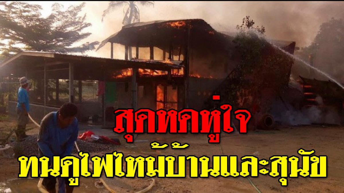 ความเจ็บปวดที่ไม่มีวันลืม!? สลดรับอรุณ สาวกรีดร้องทั้งน้ำตา ต้องทนเห็นไฟเผาบ้านตัวเองกับสุนัขแสนรัก วอดไปต่อหน้าต่อตา..!! (ชมคลิป)