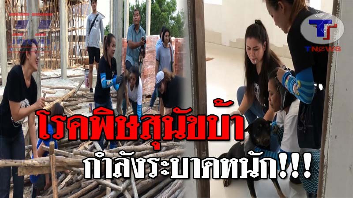 สะเทือนทั่วสงขลา..!! ปศุสัตว์ประกาศ เขตโรคระบาดพิษสุนัขบ้า แล้ว 5 อำเภอ หลังเสียชีวิตแล้ว 1 ราย จ่อประกาศเพิ่มอีก 1 อำเภอ!? (ชมคลิป)