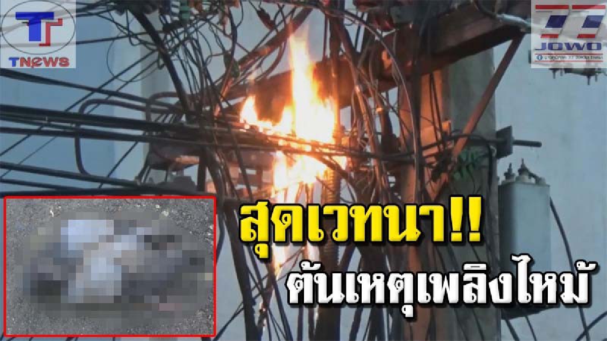 พิราบดวงดับ !! บินเกาะสายไฟฟ้า ทำไฟช็อตดับ หางไหม้ละลาย สุดเวทนา! ก่อนไฟลุกท่วมสายไฟซ้ำ ไหม้ระทึกกลางเมืองสุโขทัย (คลิปเหตุการณ์)