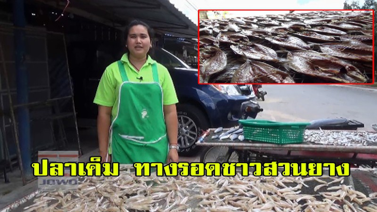 ราคายางตก กลุ่มแปรรูปอาหารยังยิ้มได้ ตลาดปลาเค็มกางมุ้งเมืองตรังยังสดใส