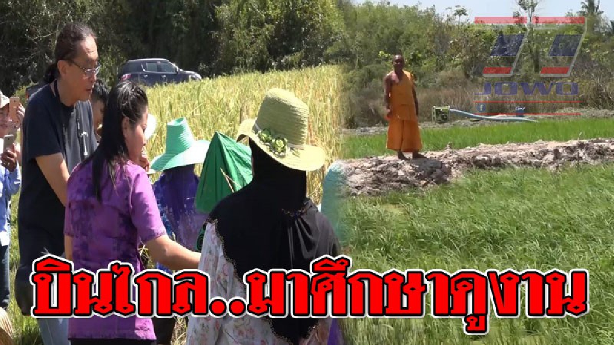 งานนี้ดังไกลข้ามประเทศ ! อาจารย์มหาวิทยาลัยญี่ปุ่น บินดูงานพลิกนาร้างเป็นนารักของเกจิดังภาคใต้..!?? (ชมคลิป)