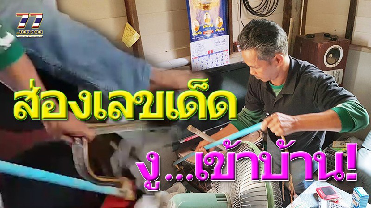มันมาให้โชค..!! หนุ่มใหญ่นั่งดูละคร ถึงกับตกใจแทบช็อค เมื่อจู่ๆมีงูเลื้อยออกมาจากใต้โซฟา ทำวงแตก..ถือเคล็ดเอาเลขบ้านซื้อหวยเด็ด!?(ชมคลิป)