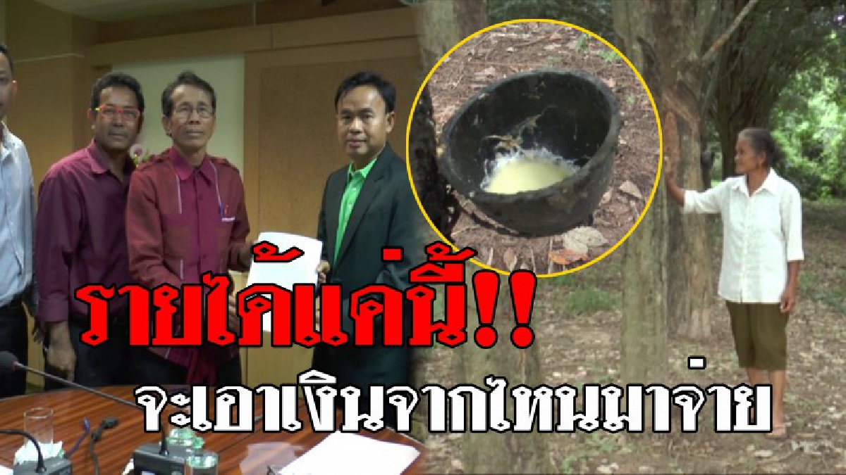 ฝากถึงท่านนายกฯ 6 ครั้ง..แต่กลับเงียบ !? ชาวสวนยางเดือดร้อนหนัก ไม่มีเงินจ่าย ธกส. หลังราคายางเหลือ 10 โล 100 วอนรัฐลดดอกเบี้ยเงินกู้ (คลิป)