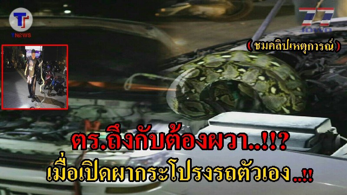 ถึงกลับหงายหลัง !! ตร.จอดรถทิ้งหลายวัน เกิดสตาร์ทไม่ติด คิดว่าแบตฯ พอเปิดฝากระโปรงรถเท่านั้นล่ะ แทบหงายหลัง ตัวอย่างใหญ่(มีคลิป)