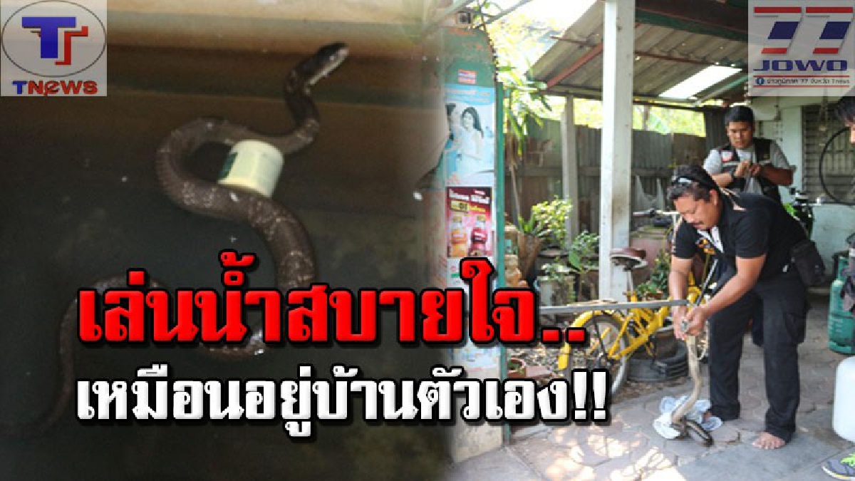 ใจตกไปอยู่ตาตุ่ม!!? ยายเฒ่าผวา จะเข้าห้องน้ำ กลับเจอ "งูเห่าว่ายน้ำเล่น" ในอ่าง ลอยคอสบายใจเฉิบ!? แจ้งกู้ภัยช่วยจับด่วนๆ (คลิป)
