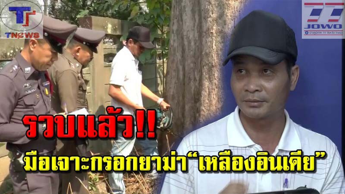 ไปไม่รอด!! จับได้แล้ว มือเจาะกรอกยาฆ่าต้นเหลืองอินเดีย ที่แท้! เป็นคนงานรับจ้างเหมาของการไฟฟ้าทำเสียเอง!? (คลิป)