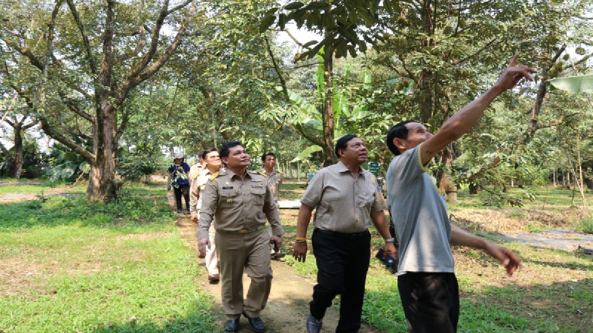 ตราด ! ชาวสวนต้องรวมกันสู้ ผลิตผลไม้คุณภาพอย่าแพ้ล้ง (คลิป)