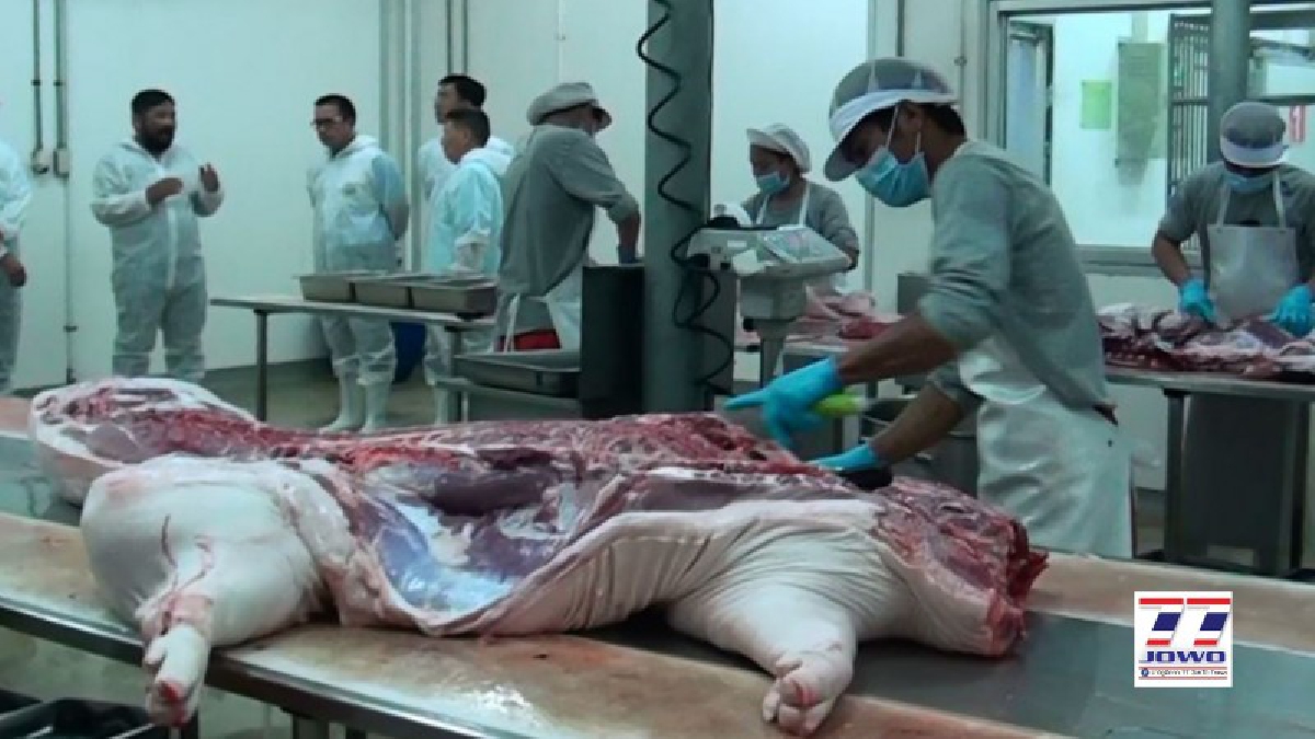 รองอธิบดีกรมปศุสัตว์ ตรวจเยี่ยมโรงชำแหละหมูขุนที่ได้รับมาตรฐาน ชำแหละกว่า 70ตัว/วัน (คลิป)