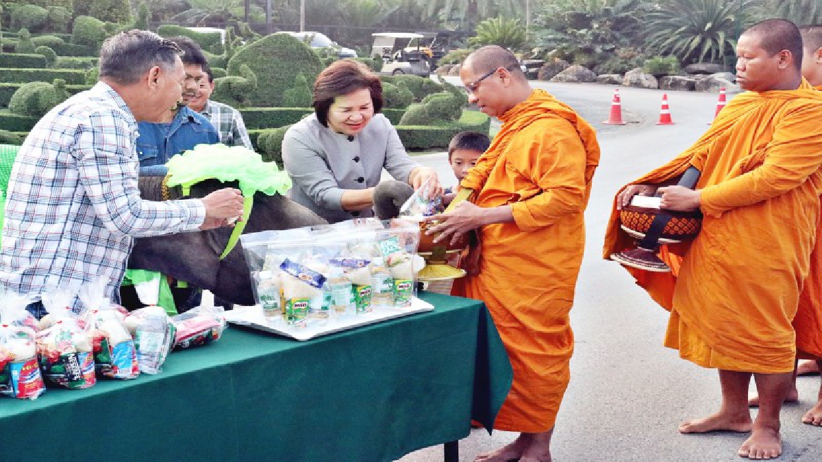 สวนนงนุช นำคชสาร 87 เชือก ตักบาตรรับพรเสริมสิริมงคล วันช้างไทย