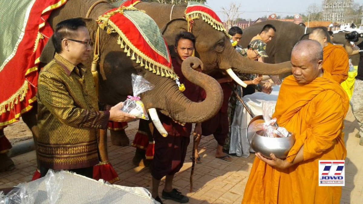 จัดยิ่งใหญ่อลังการวันช้างไทย พบการแสดง 6 ฉาก เชิดชูช้างไทย พร้อมเลี้ยงอาหารไม่อั้น นทท.ร่วมกิจกรรมจำนวนมากมาย (คลิป)