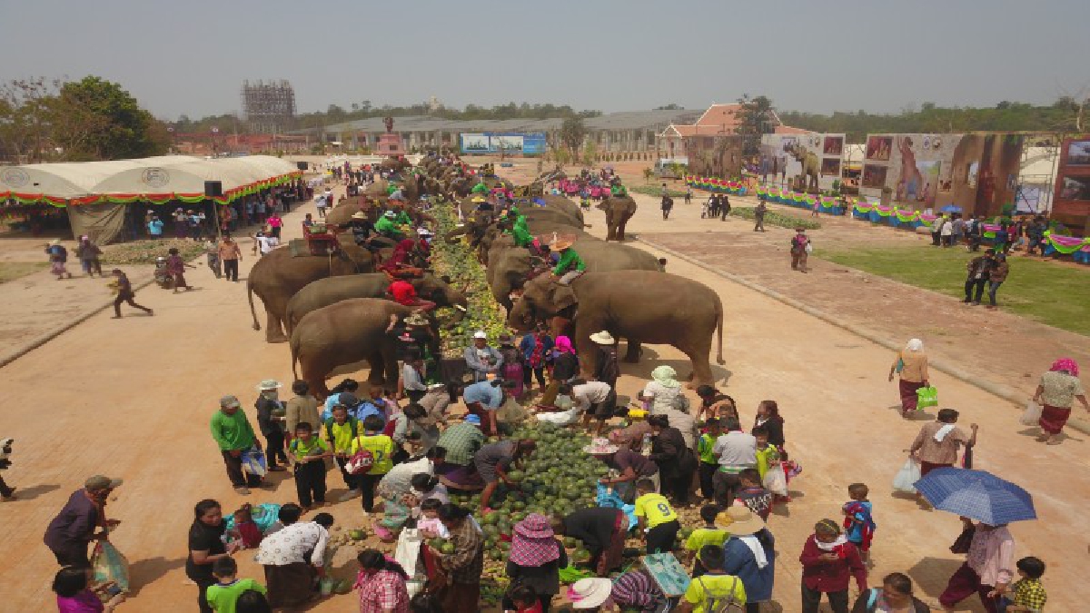 จัดใหญ่!! 13 มีนาคม “วันช้างไทย”ประกาศเกียรติภูมิของช้างไทย โดยช้างกว่า 100 เชือกร่วมแสดงความสามารถ ท่ามกลางนักท่องเที่ยวนับหมื่นคน (ชมคลิป)