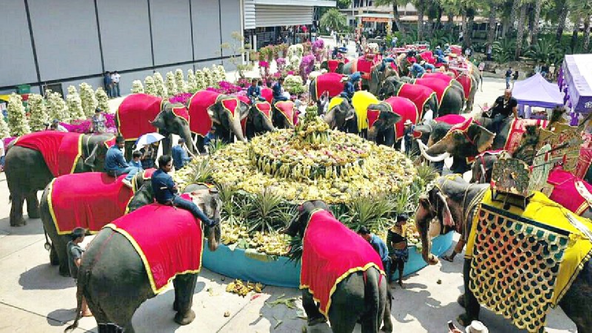 สวนนงนุชพัทยา จัดงานวันช้างไทย เลี้ยงโต๊ะจีนบุพเฟ่ต์ผลไม้ใหญ่ที่สุดในประเทศ(มีคลิป)