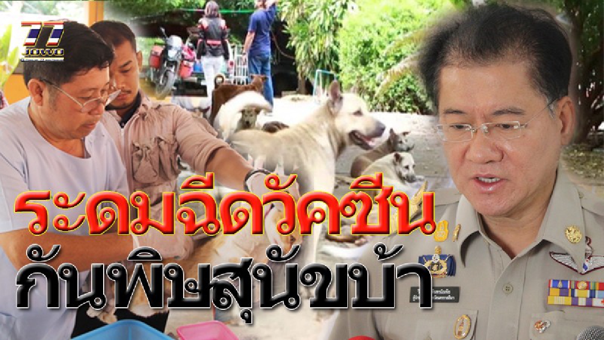 บั่นคอซากสุนัข 50 หัว ตรวจเนื้อเยื่อพิษสุนัขบ้า พบมี 9 อำเภอติดเชื้ออันตราย หนุ่มใหญ่วัย 46 ถูกกัด เสียชีวิตแล้ว (ชมคลิป)