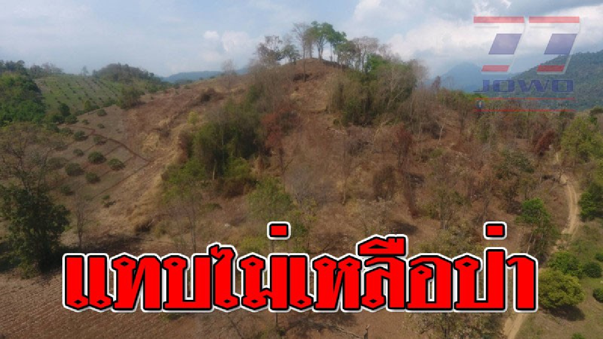 โล้นไปหมด ! นายทุนรุกหนัก ป่าต้นน้ำพื้นที่รอยต่อป่า 5 จังหวัดเทือกเขาสอยดาว ป่าหายกลายเป็นเขาหัวโล้น โล่งทั่งลูกเขาถางเตรียมทำไร่เลื่อนลอย
