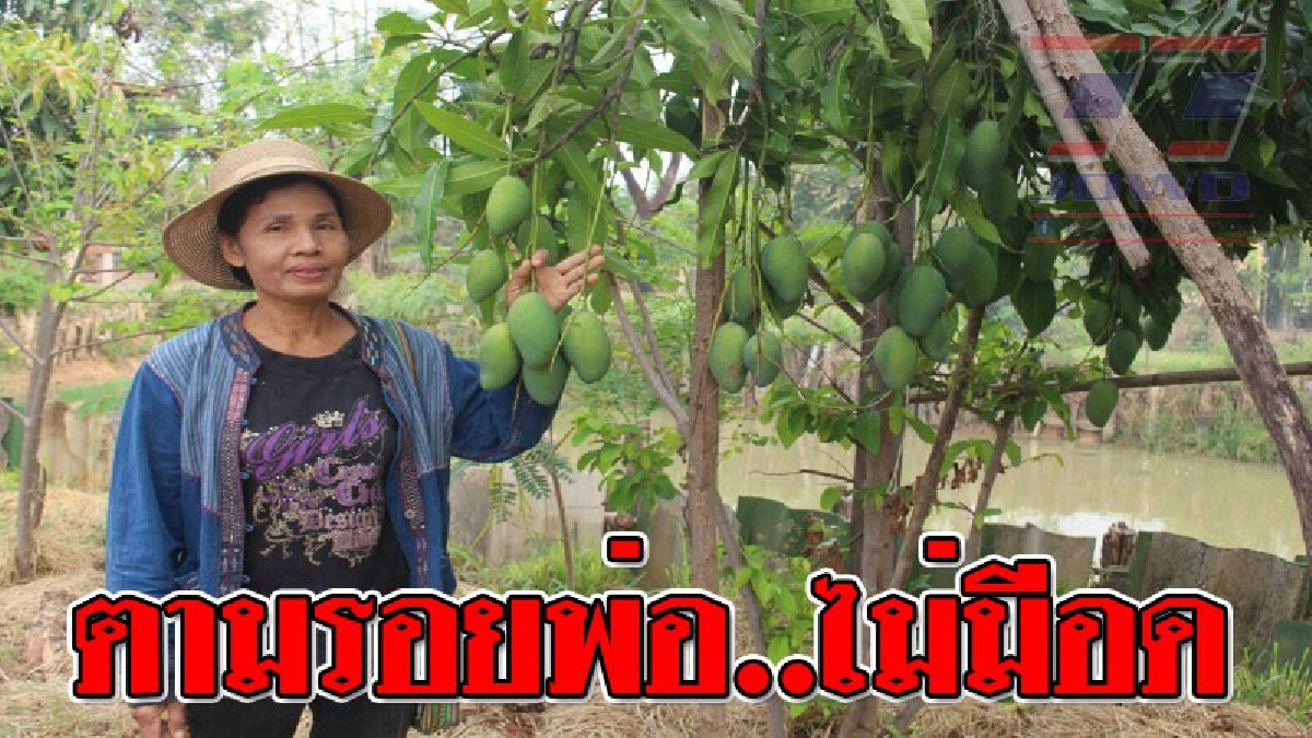 ตามรอยพ่อไม่มีอดตาย!? สตรีดีเด่น สาขาเกษตรกร ปลูกทุกอย่างที่กิน กินทุกอย่างที่ปลูก ทั้งกินทั้งขาย เป็นแหล่งเรียนรู้บนเนื้อที่ 80ไร่