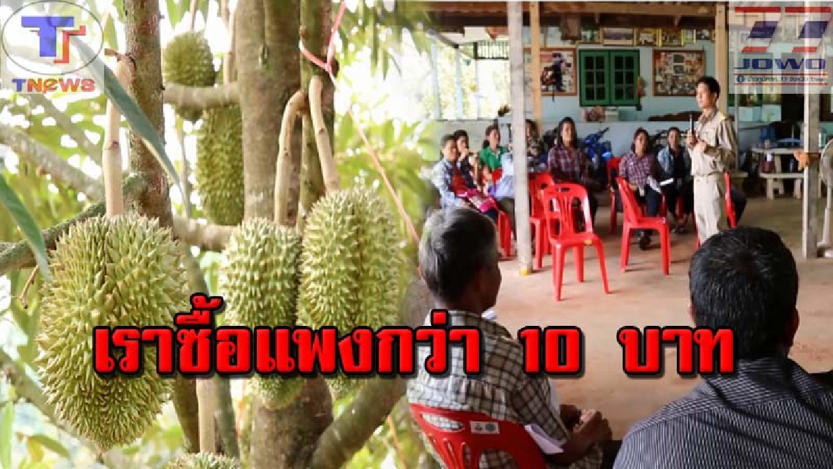 โอกาสทอง ห้ามพลาด!! สหกรณ์ฯตราด โร่ช่วยชาวสวนผลไม้ ของดี มีคุณภาพ ซื้อแพงกว่า 10 บาท หวังอุ้มไม่ให้ถูกพ่อค้ากดราคา