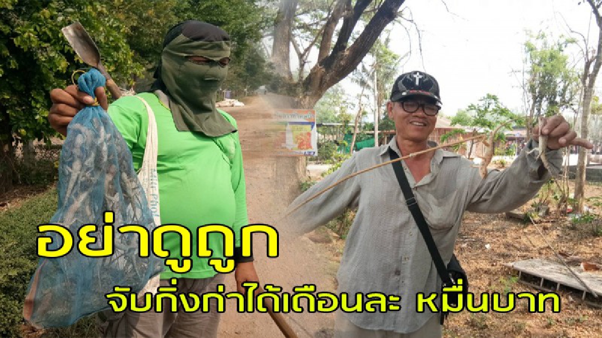 ทำเป็นเล่นไป !! แก๊งรุ่นใหญ่ล่ากะปอม หากินตามวิถีอีสาน ลดรายจ่ายเพิ่มรายได้ ขายราคาดี 3 ตัว 20 บาท  (มีคลิป)