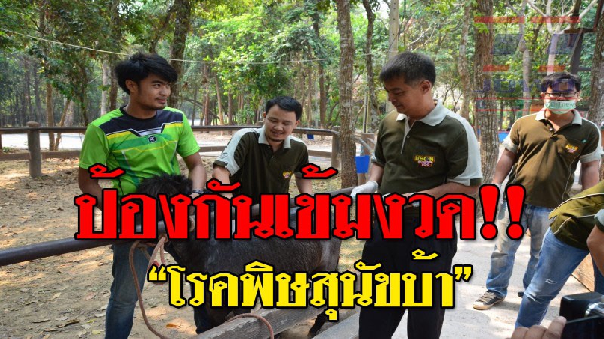 ร่วมมือช่วยกันป้องกัน ! หลายหน่วยงานเรื่องสัตว์ระดมฉีดวัคซีนป้องกันโรคพิษสุนัขบ้าในพื้นที่ หลังพบสุนัขจรจัดตายกลางเมือง..!??